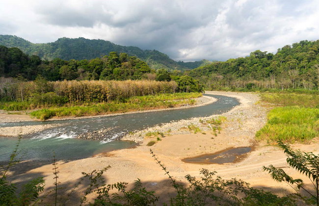 Rafting en el río Savegre - Foto 4