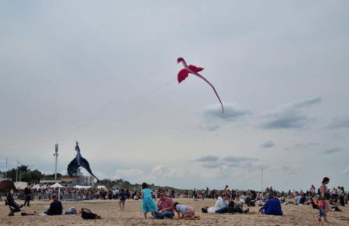 Petite cour privée - à 1minute à pied de la plage - Photo 42