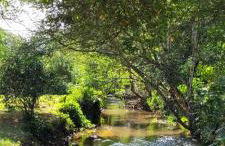 Sítio São José - Foto 74