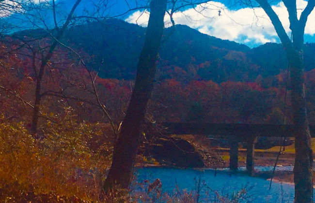 Mountain of Dreams At Lavista Cove - Foto 1