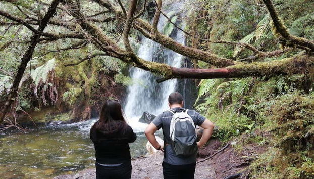 Trekking al Parco Nazionale Alerce Andino - Foto 5