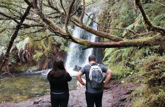 Senderismo por el Parque Nacional Alerce Andino - Foto 6