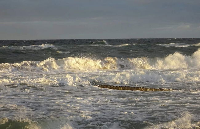 4 Person Holiday Home in Graested - Foto 45