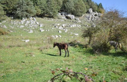 4 Bedroom Stunning Home In Montenero Val Cocchiar - Foto 24