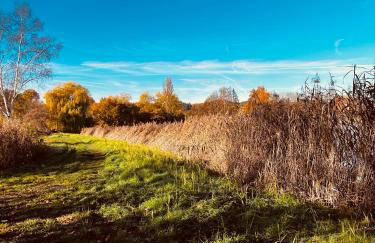 Ferienwohnung I Beck-Bräu nahe Bamberg - Foto 22
