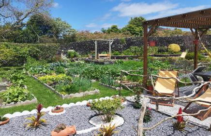 Quinta dos Sentidos Eco Nature Retreat in Azores - Photo 52