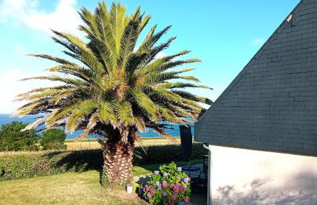 Trouz ar mor - Foto 26