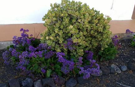 Casa Montaña de Tahiche - Foto 55