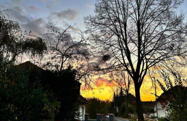 Wohnen im Steigerwald, nahe Bamberg - Foto 18