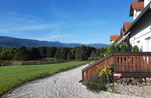 Wysokie Łąki domki w górach - Foto 36