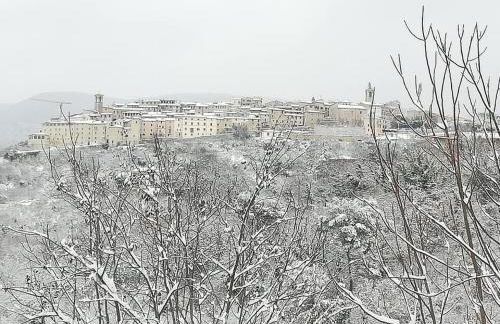 Residence Grimani - Photo 16