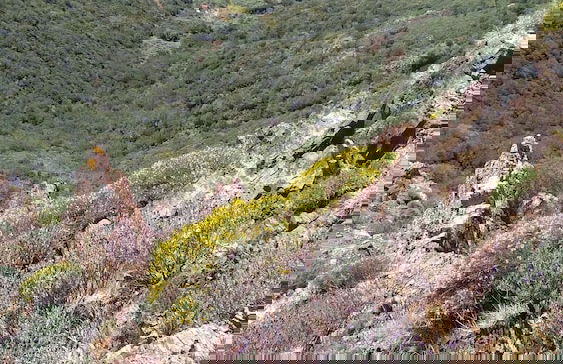 Nisportino Domus - Foto 48