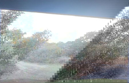 Chalés Recanto da Baleia - Photo 22