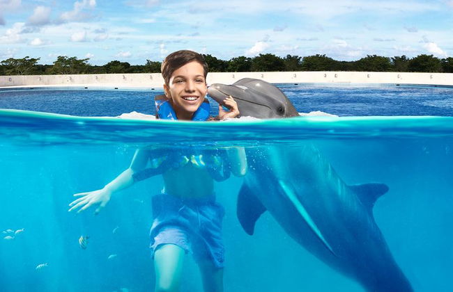 Delfin-Begegnung am Maroma Beach - Foto 4