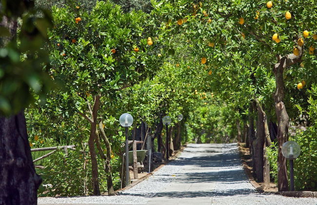 Villa Oriana Relais - Photo 65