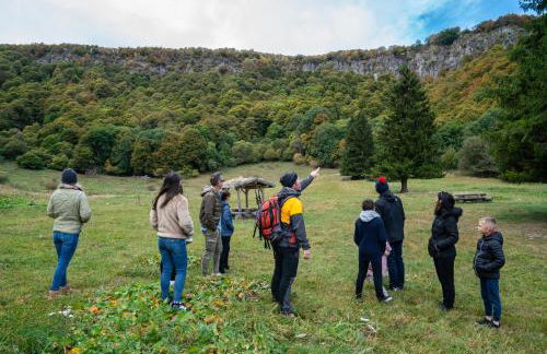 Sancy Resort - Foto 73