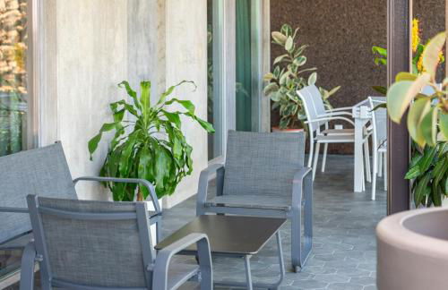 Doca Seca & Casca de Uva - Foto 10