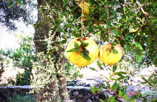 Villa Ghezzi Sea View - Foto 24