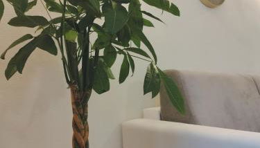 La Maddalena Apartment - Photo 2