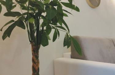 La Maddalena Apartment - Photo 2