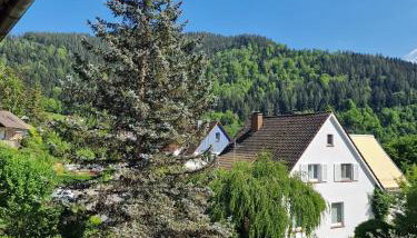 Haus Rebberg - Foto 3