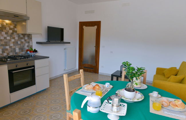 Sofia flora - Photo 37