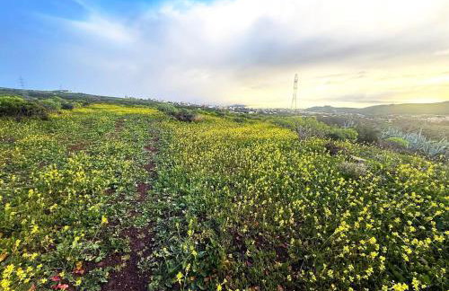 CASA GRANDE FINCA EL CALABRES - Foto 32