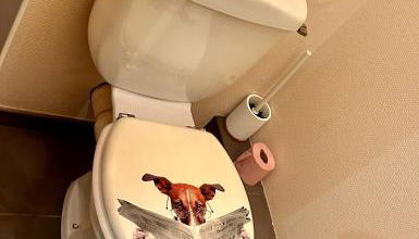 APPART CALME proche de la GARE - Foto 3