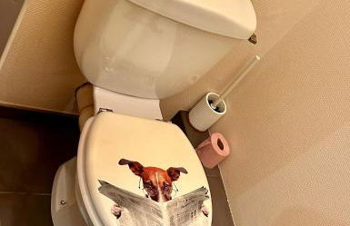 APPART CALME proche de la GARE - Foto 3