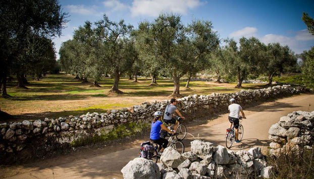 Desfrutaremos do tour de bicicleta