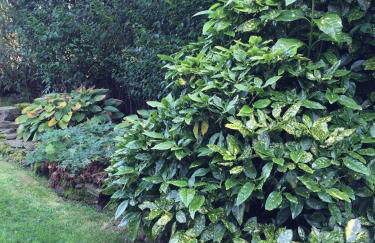 Lower Thura House - Photo 12