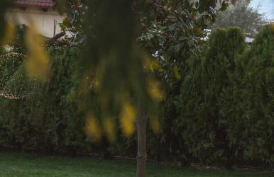 Garden's House Pozar in Aridaia - Photo 59