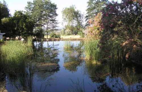 Finca La Favorita- Suites - Foto 74