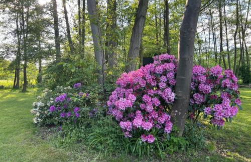 Modernes Gartenatelier am Mühlenfließ - Foto 27