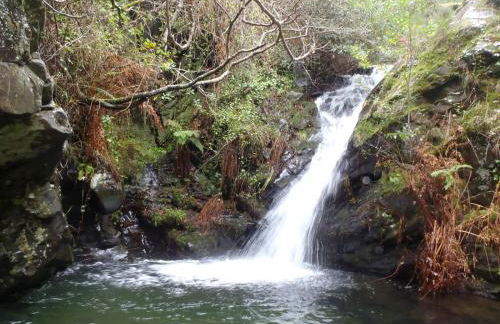 Serpins Estação Al - Foto 27