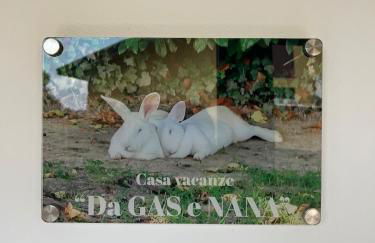 Da Gas e Nana - Foto 12