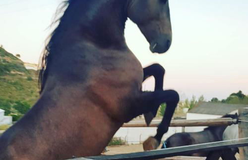 Casa Fernando Casquinha - Foto 28