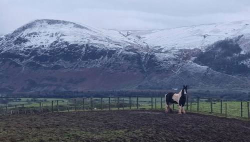 Luxury Lake District Retreat above Ennerdale - Foto 5