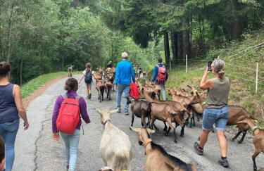Le pied des pistes, studio 5 pers, balcon sud est, vue sur les montagnes - Foto 35
