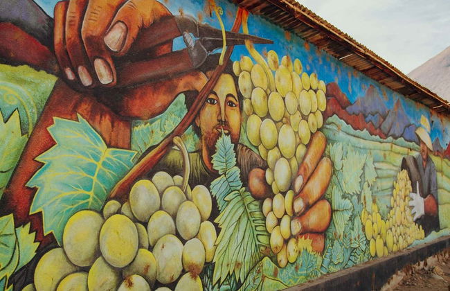 Alto Elqui Pisco Tour - Photo 6