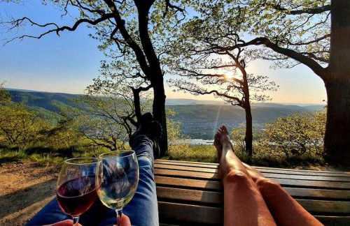 Elegant Apartment with Direct River View, Balcony and Parking in Bernkastel-Kues - Photo 64