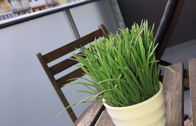 Apartment Holdings Považská - Foto 35