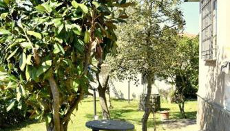 Casa della Genovina - Photo 4, Garden, Garden view