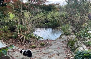 Apartment at Llanerchydol Hall - Foto 19