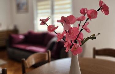 Apartment Vesna - Foto 72