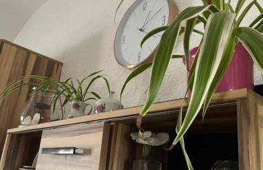 Ferienwohnung Lay - Foto 11