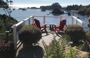 Octopus Suite - Foto 4