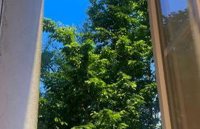 Cozy place - Bordure de Garonne & Stade Toulousain - Foto 12