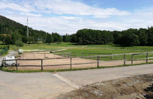 Pferdehof am Burgsberg, Ferienwohnungen - Foto 40