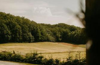 Murowana GlinCa - Foto 35